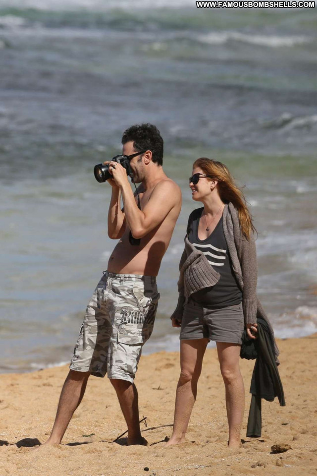 Isla Fisher Pregnant Beautiful Posing Hot Beautiful Couple Celebrity